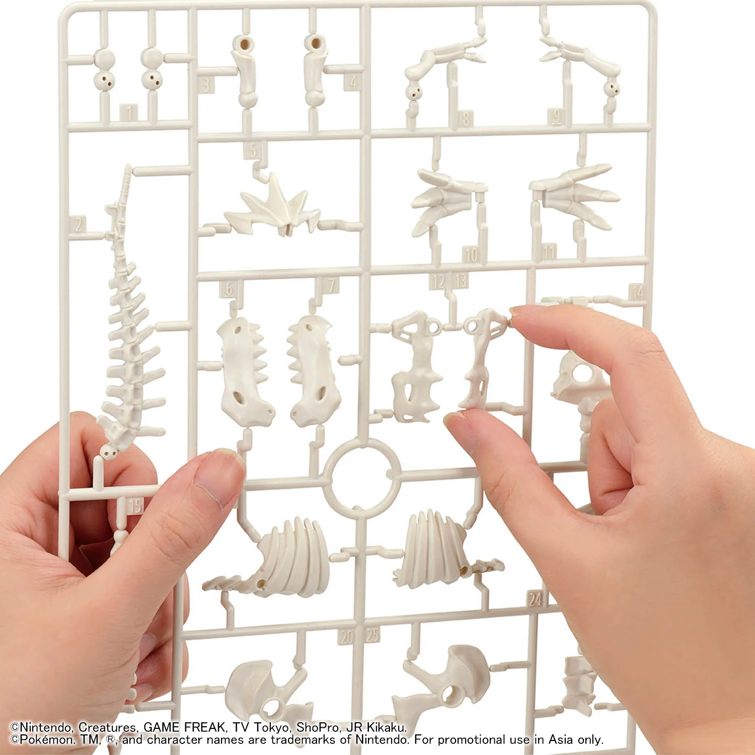 Bandai Pokemon Fossil Pokemon Series Tyrantrum Model Kit - Image 7