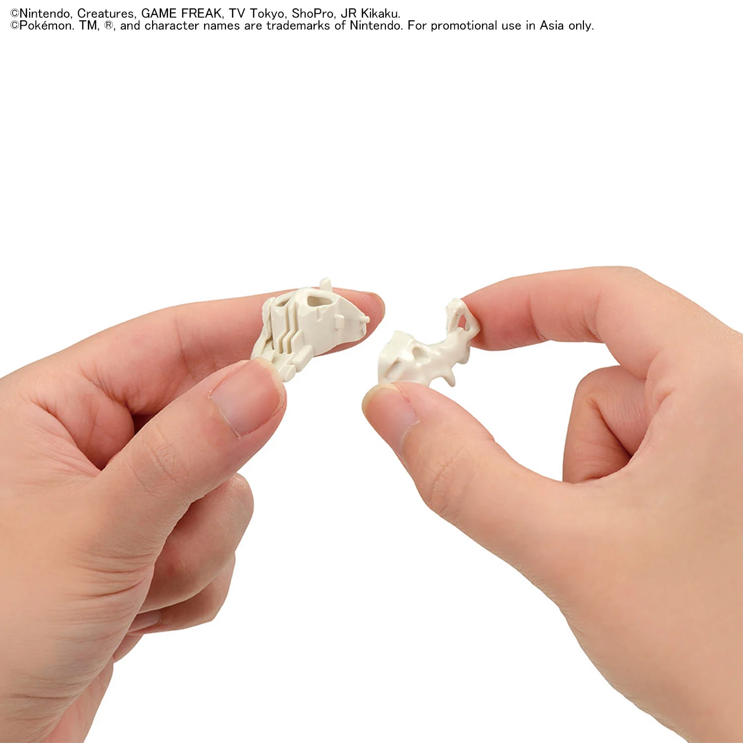 Bandai Pokemon Fossil Pokemon Series Tyrantrum Model Kit - Image 9